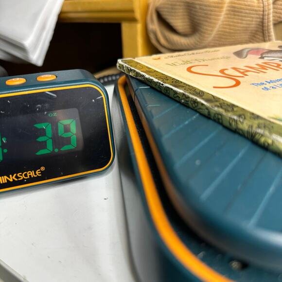 Vintage Walt Disney SCAMP Little Golden Book Hardcover The Adventures of a Puppy - Picture 6 of 6